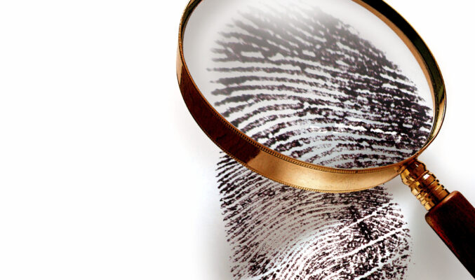 Dmit franchise in Haryana