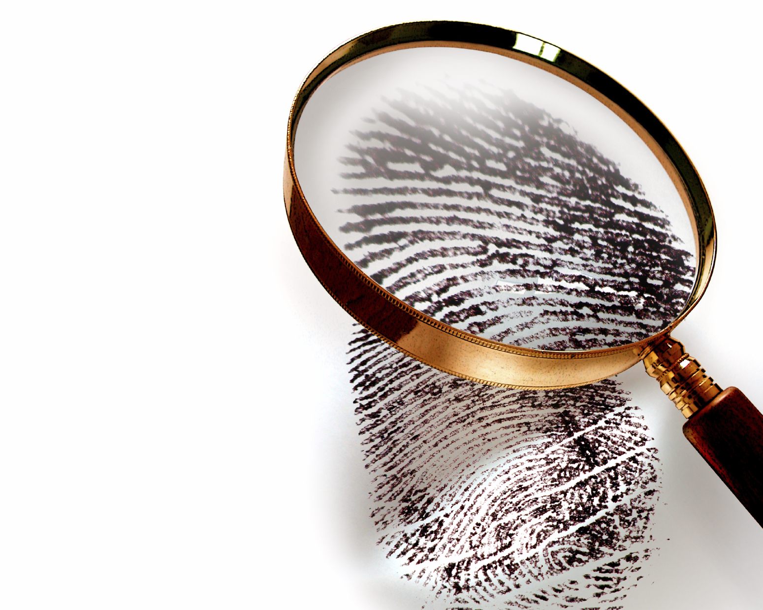 Dmit franchise in Haryana